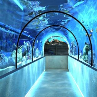 Фотография достопримечательности Океанариум Морская сказка