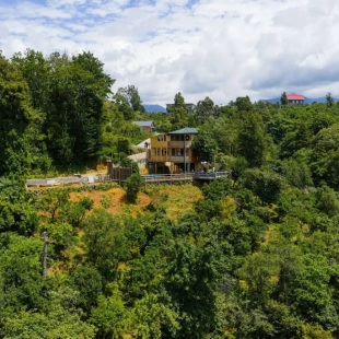 Фотография Коттеджа Частный дом TreeHouse GoldenSeaView TreeHouse