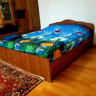 Фотография квартиры Квартира уютная возле метро Ленинская