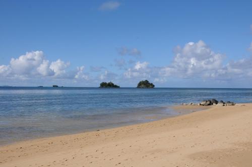 Фотография гостиницы Coconut Grove Beachfront Cottages