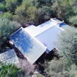 Фотография гостевого дома Bellamia