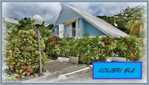 Фотография гостевого дома le colibri ble