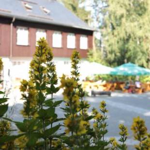 Фотографии гостиницы 
            Bürger- und Berggasthaus Scheibenberg