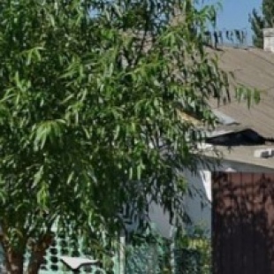 Фотография гостевого дома Толстого