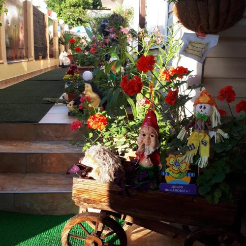 Фотографии гостевого дома
София