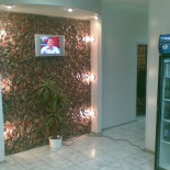 Фотография мини отеля Элефант