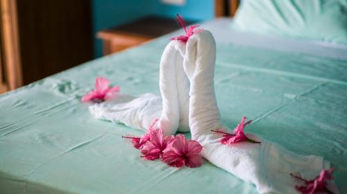 Фотография мини отеля Villa Hortensia