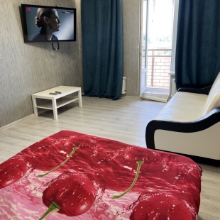 Фотография квартиры Апартаменты Первитинская 41