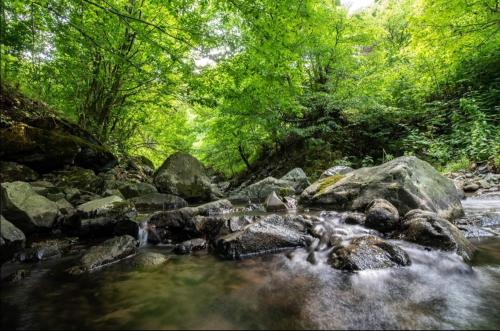 Фотографии мини отеля
Jivanq B&B