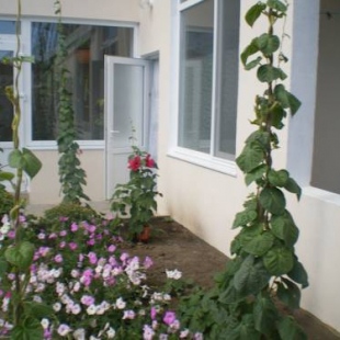 Фотография гостевого дома Виктория