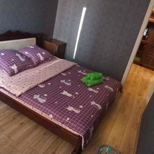 Фотография квартиры Апартаменты Пролетарский проспект 7А