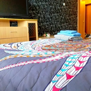 Фотография квартиры Квартира Художник ждёт своих гостей