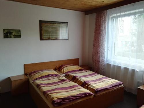 Фотография гостевого дома Penzion Tenis