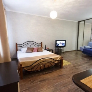 Фотография квартиры Квартира студия на улице Попова 103