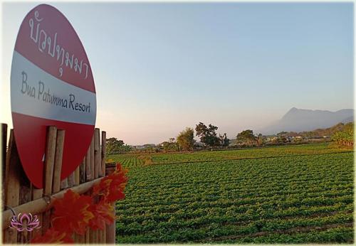 Фотография гостевого дома Bua Patumma Resort