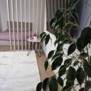 Фотография квартиры Апартаменты Стильные в Центре Бреста