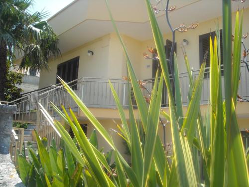 Фотография мини отеля b&b Bellavista