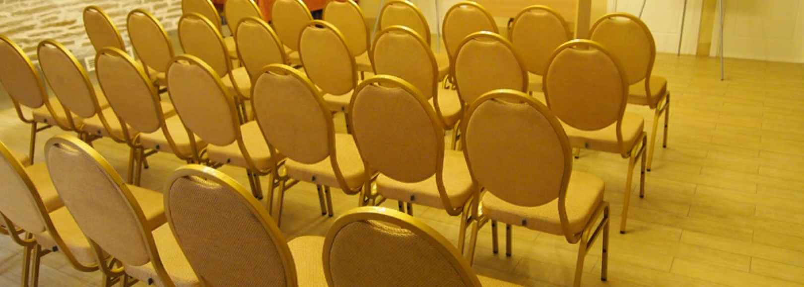 Фотография конференц-зала Николаевский