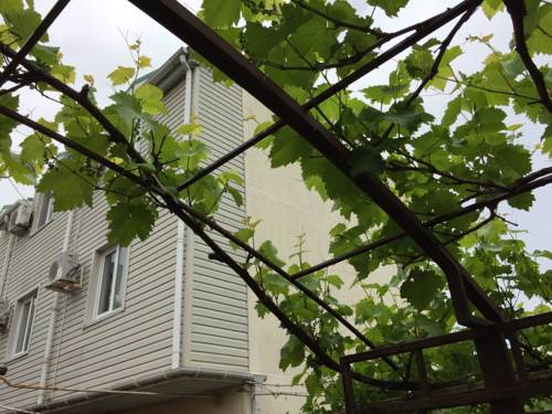 Фотография гостевого дома Гоголя, 179