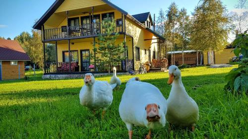 Фотография гостевого дома Дом для отпуска Святое Озеро