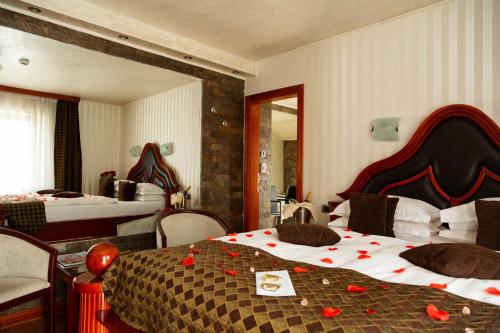 Фотография гостиницы Vila Prezident