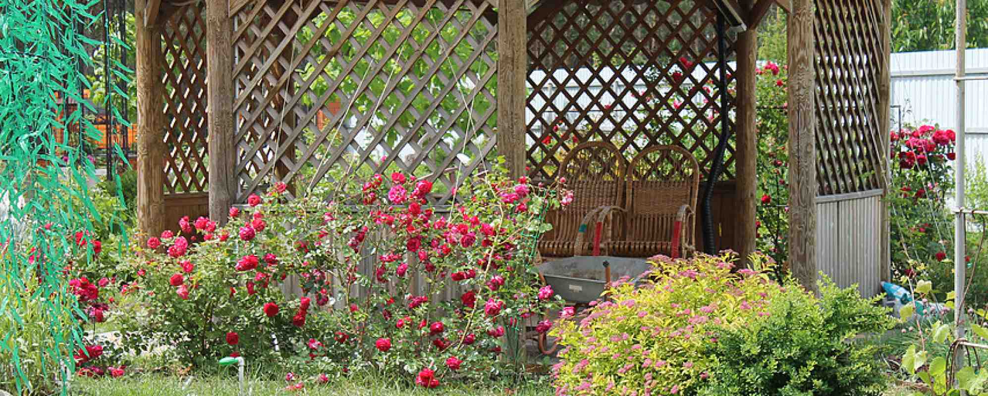 Фотографии гостиницы
РаДом