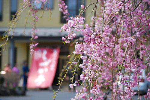 Фотография мини отеля Shizukatei