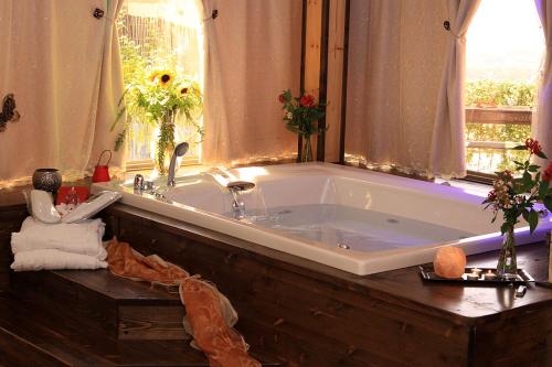 Фотография гостевого дома צימרים טרה נוסטרה