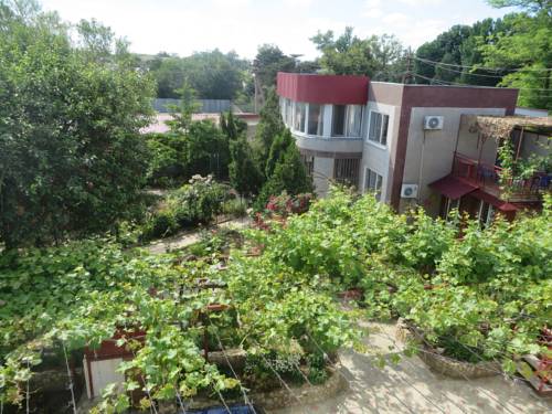 Фотографии гостевого дома
Весёлая утка