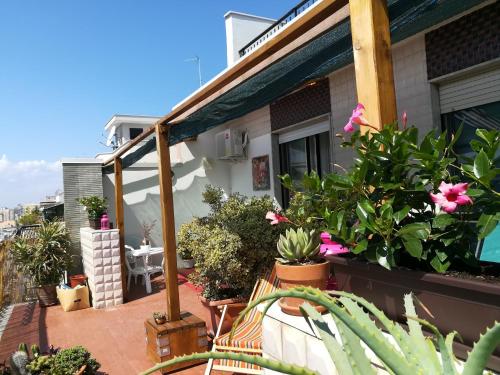 Фотография мини отеля B&B La Terrazza Near The Beach