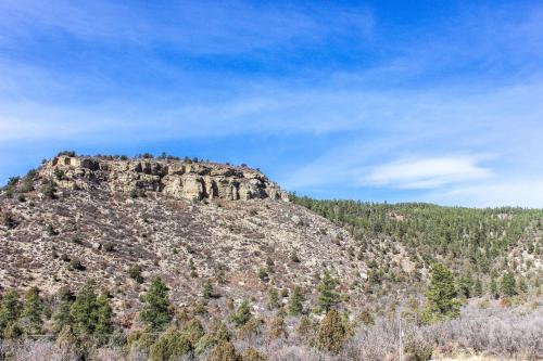 Фотография гостевого дома Hawk House