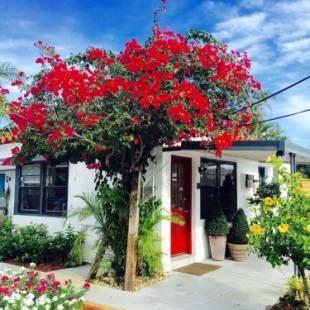 Фотографии мотеля
Oasis Hotel