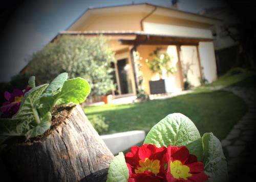 Фотография мини отеля B&B L'Ulivo