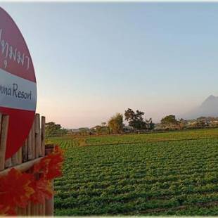 Фотографии гостевого дома
Bua Patumma Resort