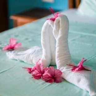 Фотография мини отеля Villa Hortensia