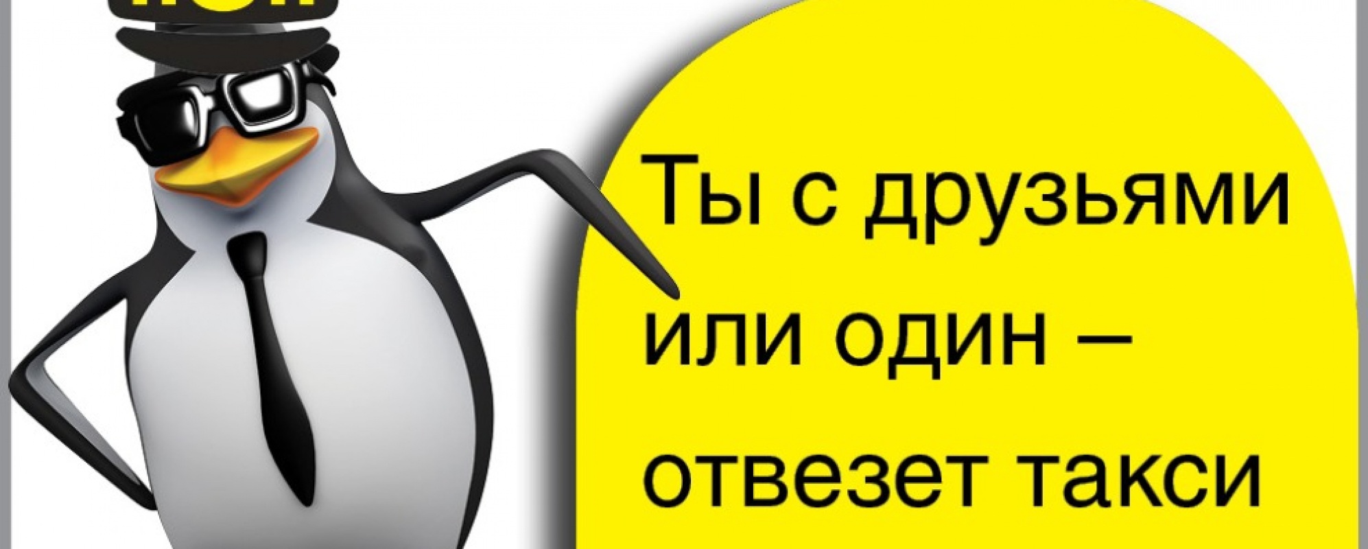 Фотографии такси 
            Пингвин