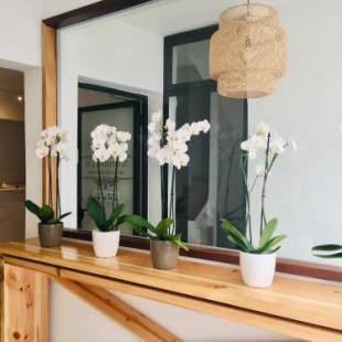 Фотографии гостиницы
El Hotelito 27