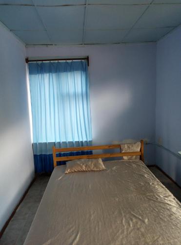 Фотография гостевого дома Пчелка