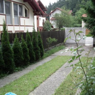 Фотография гостевого дома Casuta Mica