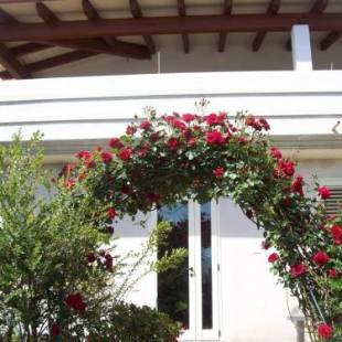 Фотографии мини отеля
B&B Kazakova