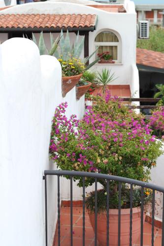 Фотография апарт отеля Casa Vacanze Elianto