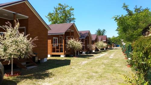 Фотографии кемпинга 
            Оазис