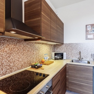 Фотография квартиры Апартаменты Botanical Garden Life