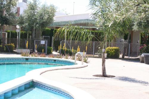 Фотография гостиницы Hotel Playa Canet