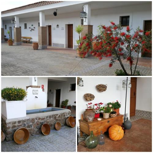 Фотография гостиницы Hotel Rural Arroyo la Plata by Bossh Hotels