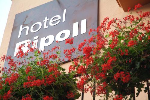 Фотография гостиницы Hotel Ripoll