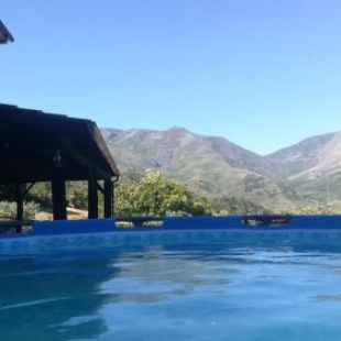 Фотография гостевого дома Quinta do Torgal - Alojamento Local