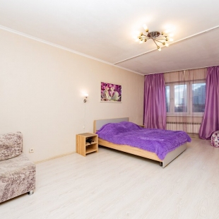 Фотография квартиры Апартаменты Белинского 222