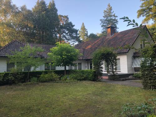 Фотография мини отеля Modern Palace B&B Emma Staete