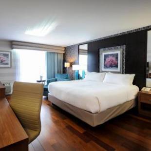 Фотографии гостиницы 
            Holiday Inn Niagara Falls-By the Falls, an IHG Hotel